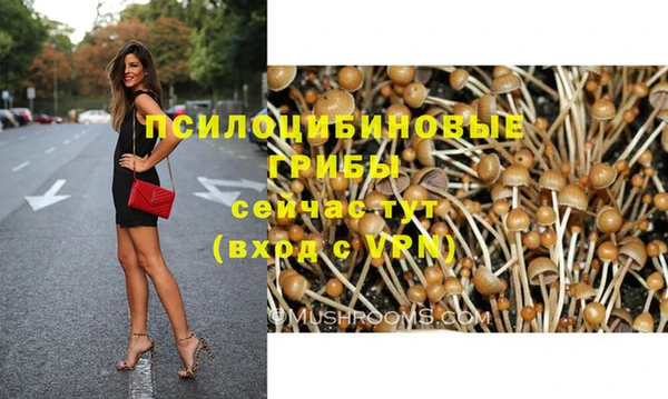 таблы Шали