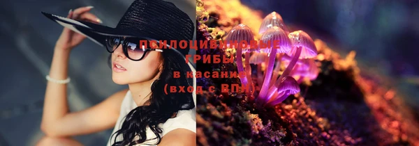 таблы Шали