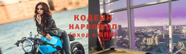 шишки Ижевск